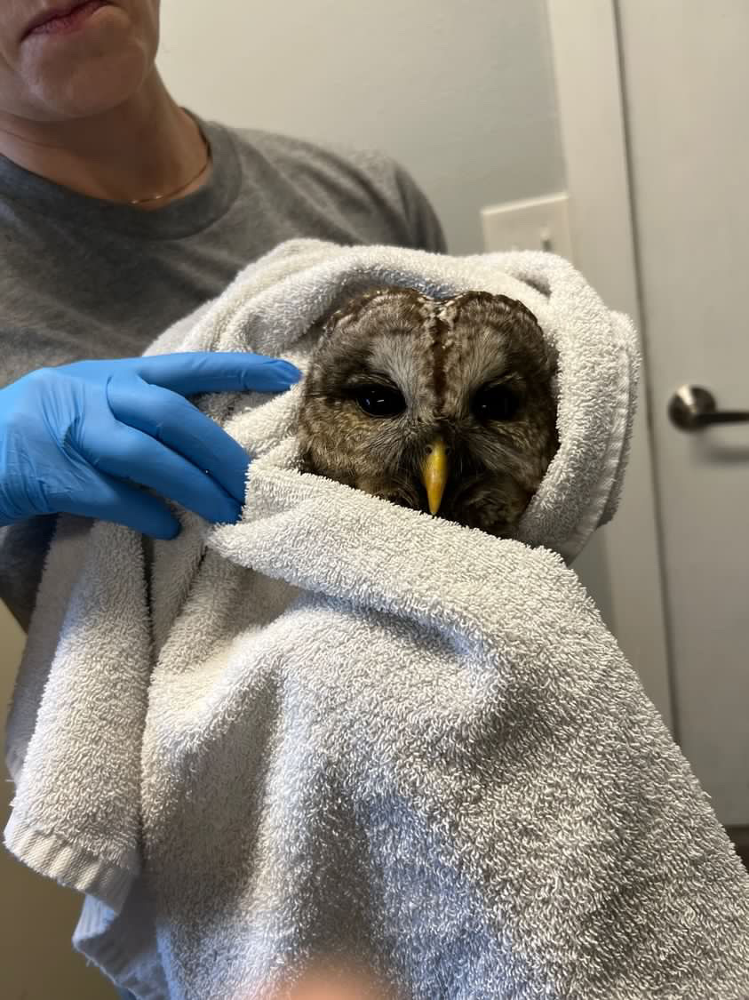 12 weeks of rehab at Think Wild