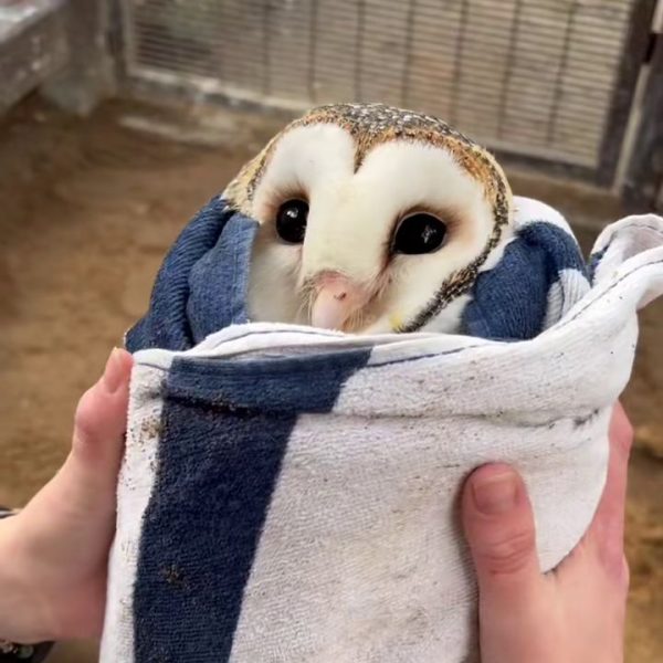 Duncan&rsquo;s Monthly Check Up