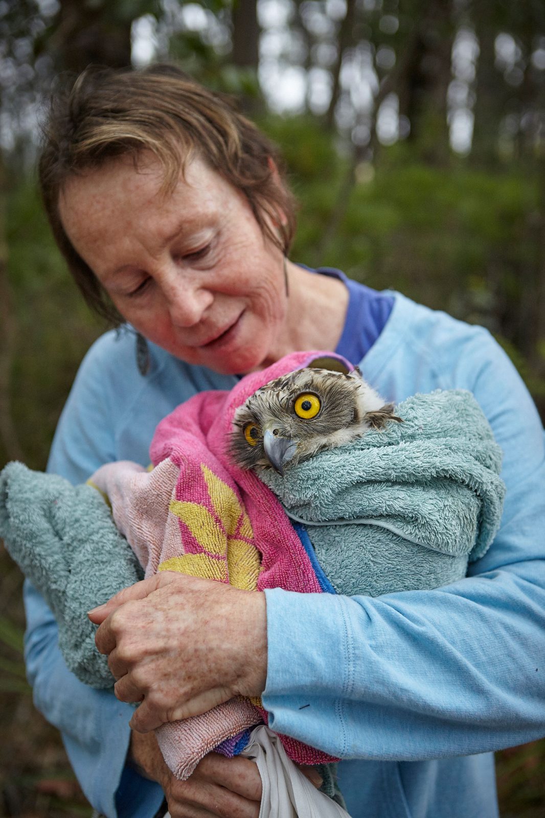 The owl appears calm and unfazed by its human keeper, or 'raptor captor' if you will. The carer is positioned behind, wearing a light blue long-sleeve top, head also at a 45 degree tilt, craning to look over the bundle she holds for a closer look at the owl. If anything the two have an appearance of mutual trust.