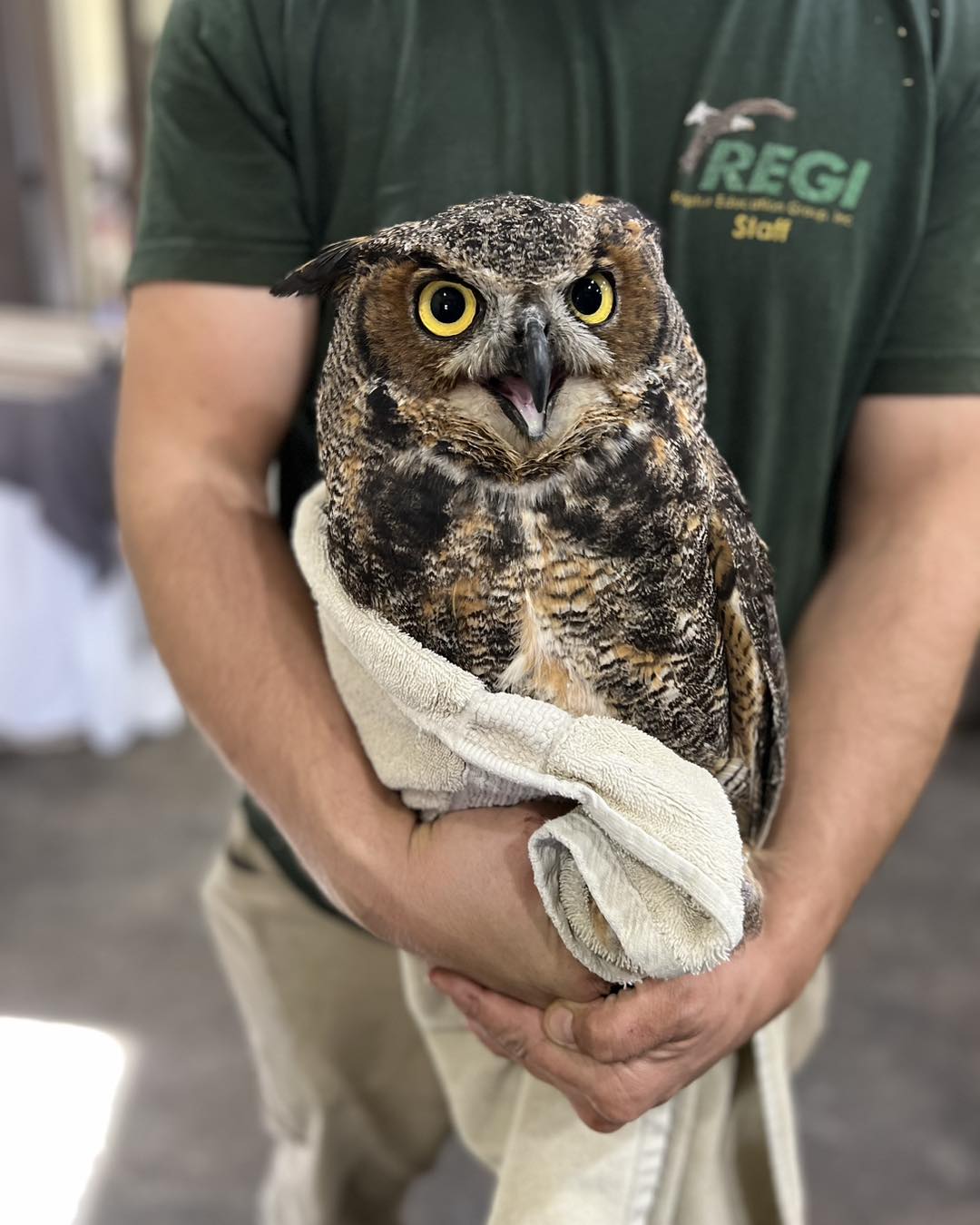 Guys I think we&rsquo;ve peaked