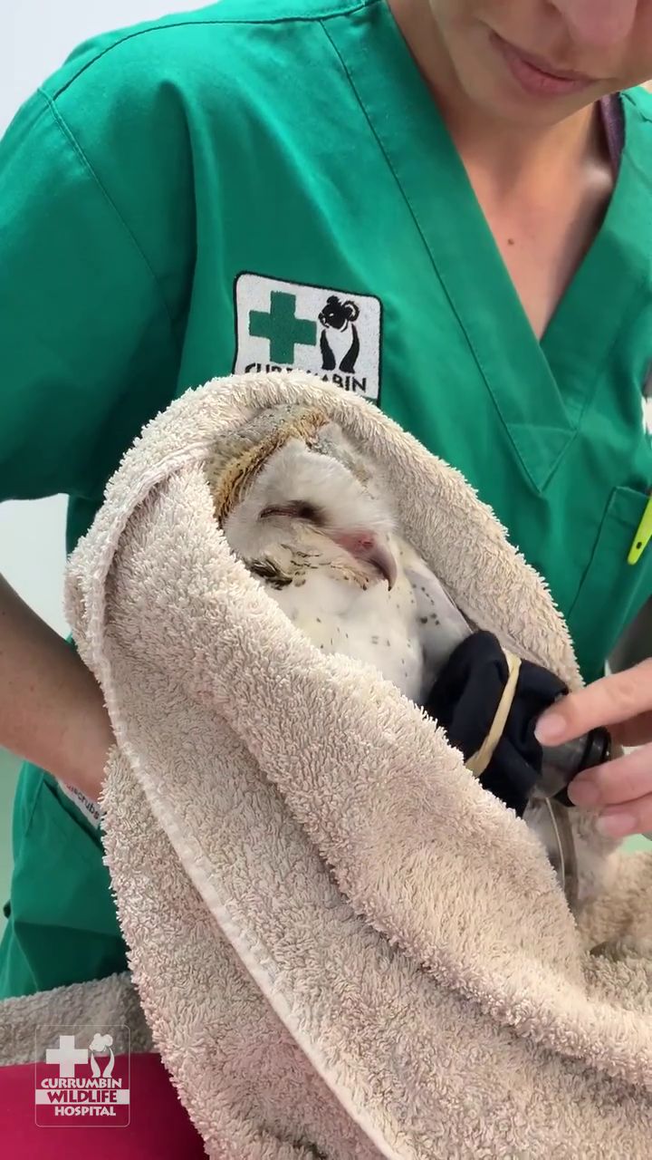 Misfortune prompts  nickname