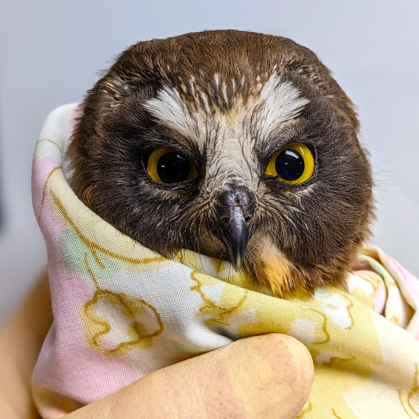 The &ldquo;spiciest patient&rdquo; so far